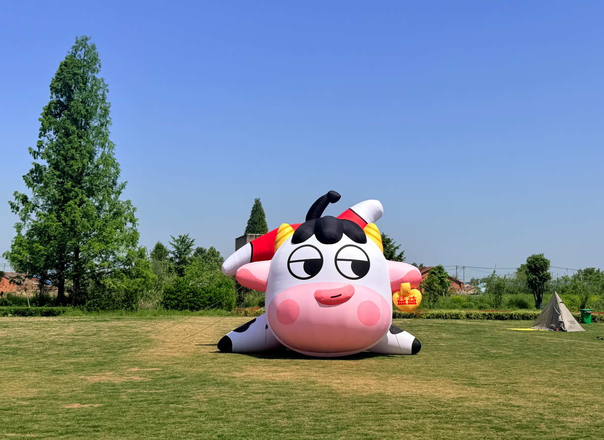 小牛.jpg